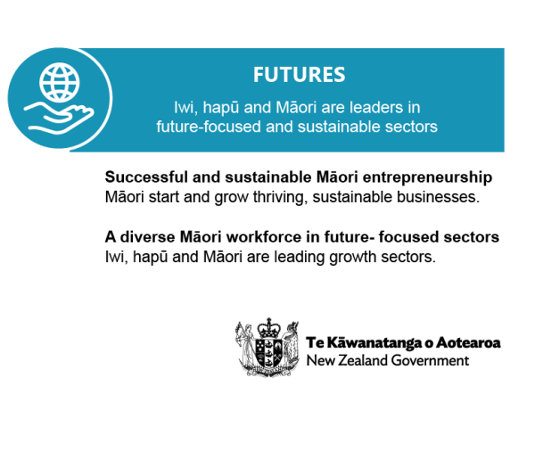Futures, Iwi, hapū and Māori are leaders in future-focused and sustainable sectors. Successful and sustainable Māori entrepreneurship, Māori start and grow thriving, sustainable businesses. A diverse Māori workforce in future-focused sectors.