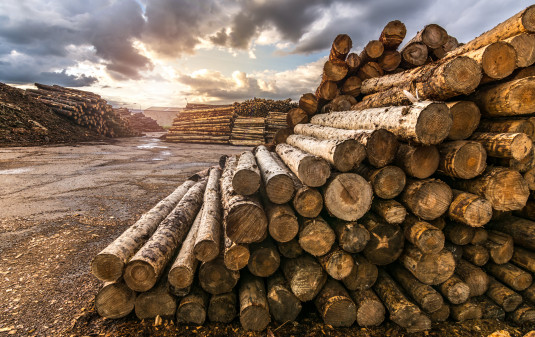 logs