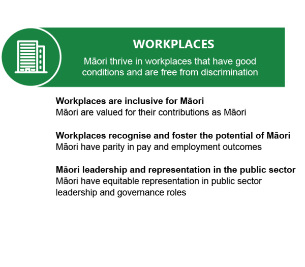 Māori thrive in workplaces that have good conditions and are free from discrimination. Workplaces are inclusive for Māori, workplaces recognise and foster the potential of Māori, Māori leadership and representation in the public sector 